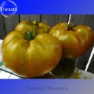 JMS Rare Cherokee Golden Big (Dark Brandy, Korol Sibiri, German Bi-Color, Ru Taosiy) Tomato Seeds, 1