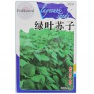 JMS Heirloom Green Perilla Seeds, Original Pack, 5000 Seeds, Edible Herb Vegetables Onx111Y