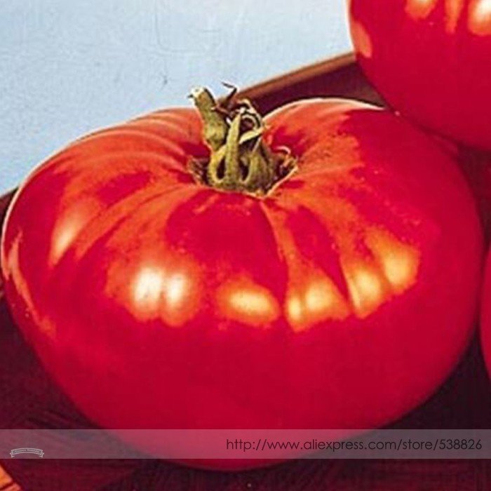 JMS Heirloom Big Beef Tomato Seeds, Professional Pack, 100 Seeds / Pack, Early Large Fruits High Yie