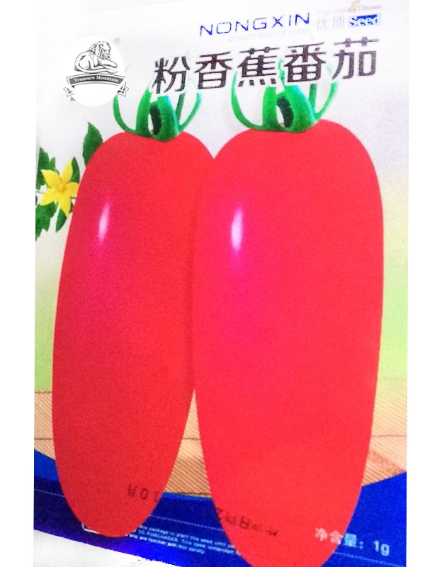 JMS 1 Original Pack, Approx 150 Seeds / Pack, Small Pink Banana Tomato Seeds Non-Gmo Heirloom Organi