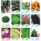 JMS 12 Original Packs, Very Black Tomato Seeds Kiwi  Organic Pawpaw Vegetables Herbs Corns Flowers P