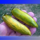 JMS Sausage Green Tomato Organic Seeds, Professional Pack, 100 Seeds / Pack, Rare Heirloom Plant-Qui