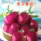JMS 1 Original Pack, 2G (About 350 Seeds) / Pack, Purple / Purple Red Tomato Seeds, Organic Edible T