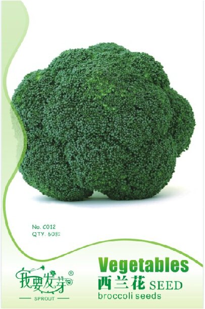 JMS 1 Original Packs, 60 Seeds / Pack, Green Organic Broccoli Heirloom Vegetables Seeds