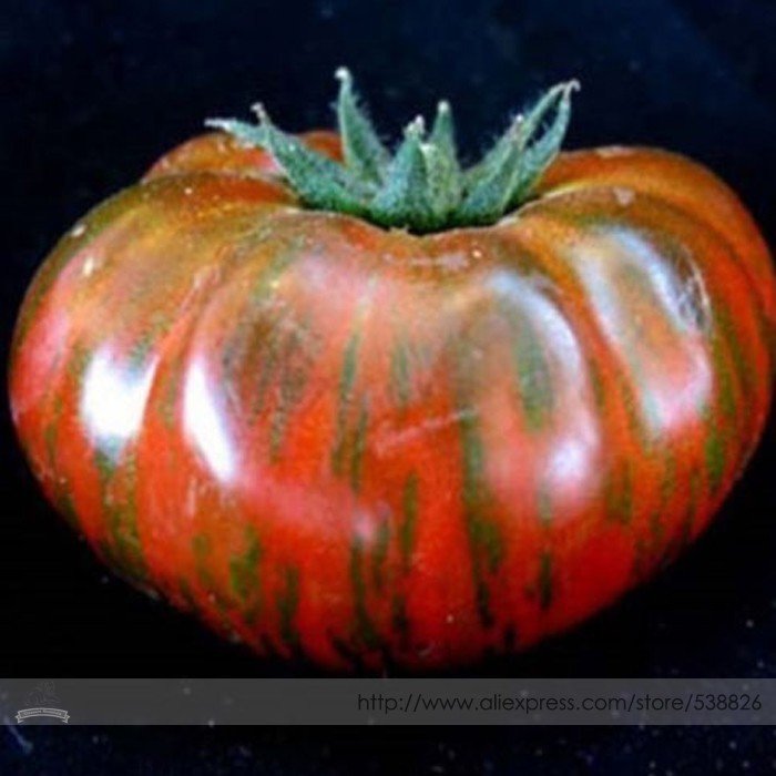 JMS Heirloom Big Chocolate Stripes Tomato Hybrid Seeds, Professional Pack, 100 Seeds / Pack, A Beaut