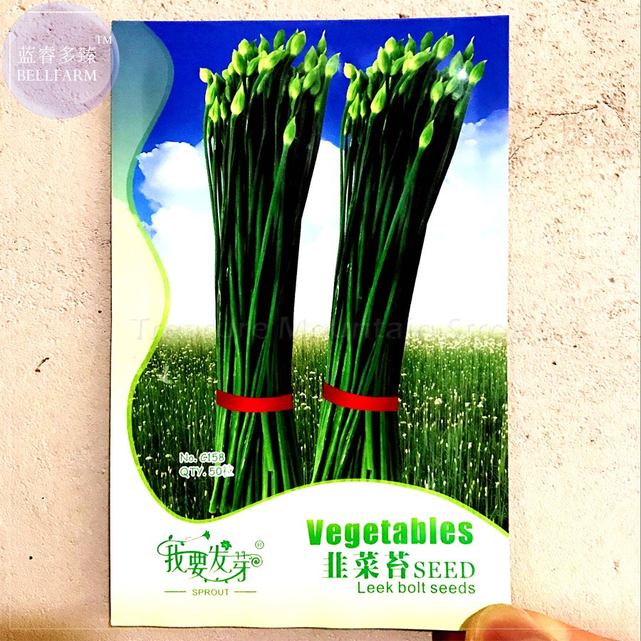 JMS 1 Original Pack, 50 Seeds / Pack, JMS Garlic Chives Seeds Allium Tuberosum Chinese Chives, Chine