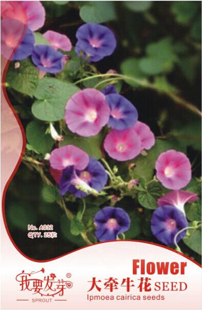 JMS 10 Original Packs, 25 Seeds / Pack, Heavenly Mix Morning Glory Vine Seeds Loads Of Many Colorful
