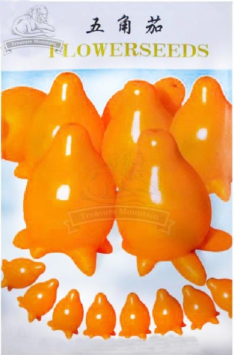 JMS 10 Original Packs, 20 Seeds / Pack, Solanum Mammosum, Cow'S Udder, Nipple Fruit,  Apple Of Sodom