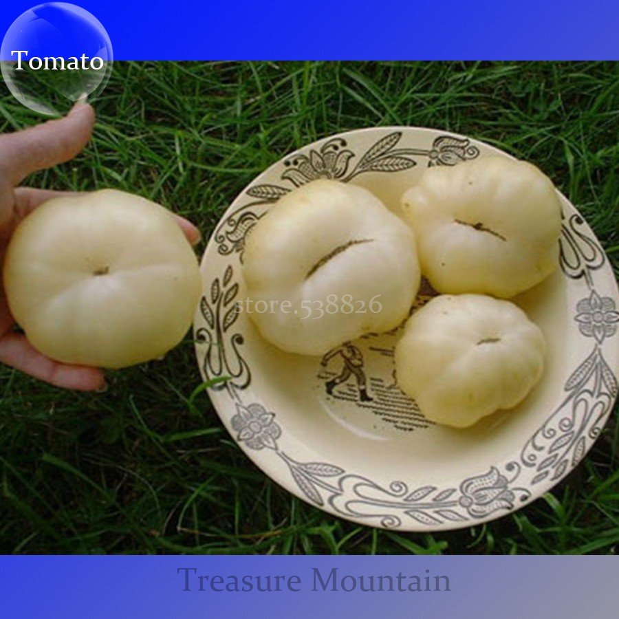 JMS Rare Belyy Giant White Beefsteak Tomato Seeds, Professional Pack, 100 Seeds / Pack, Edible Tasty