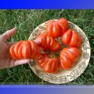JMS Heirloom Rare Mexican Silly Tomato Hybrid Seeds, Professional Pack, 100 Seeds / Pack, Tasty Swee