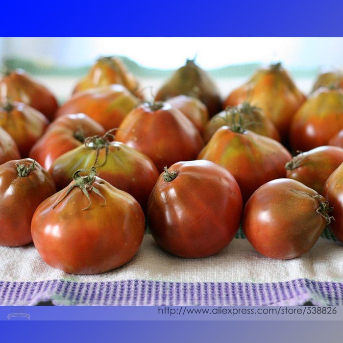 JMS Rare Heirloom Japonskij Black Truffle Tomato Organic Seeds, Professional Pack, 100 Seeds / Pack,