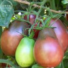 JMS Heirloom Evan'S Purple Pear Tomato Seeds, Professional Pack, 100 Seeds Ts291T
