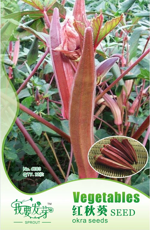 JMS 10 Original Packs, 12 Seeds / Pack, JMS Red Burgundy Okra Organic Herbs Heirloom Tasty Healthy R