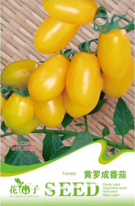JMS 1 Original Pack, 20 Seeds / Pack, Roma Yellow Little Tomato Plant, Organic Edible Tomato, Non-Gm