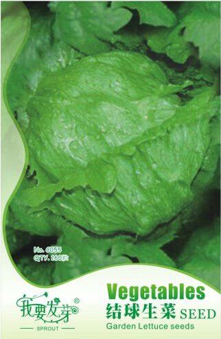 JMS 10 Original Packs, 160 Seeds / Pack, Iceberg Lettuce Lactuca Vegetable Seeds