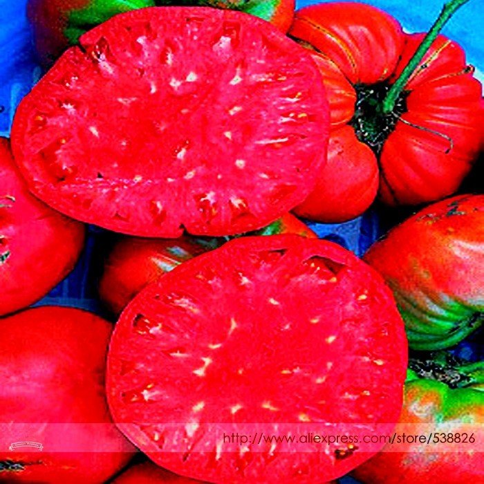 JMS Germany Rose Red Corrugated Sweet Big Tomato Hybrid Seeds, Professional Pack, 100 Seeds / Pack, 