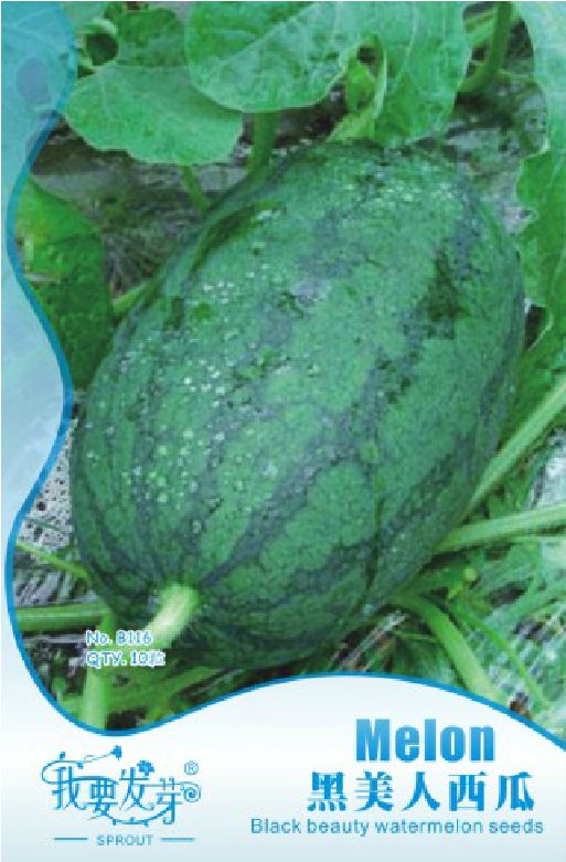 JMS 10 Original Packs, 10 Seeds / Pack, Long Black Sweet Juicy Water Melon, Great Summer Fruits For 