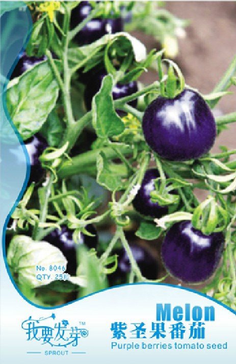 JMS 1 Original Pack, 25 Seeds /Pack, Indigo Rose Purple / Blue Tomato Organic Non-Gmo Seeds High Ant