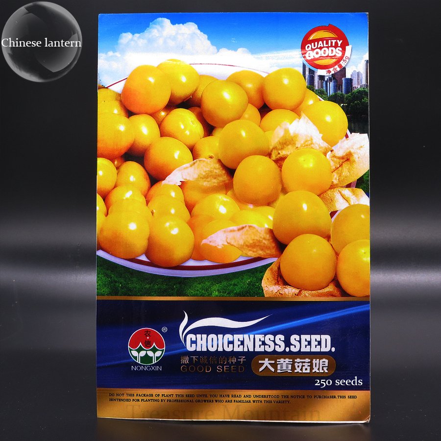 JMS Heirloom Physalis Alkekengi Yellow Chinese Lantern Bladder Cherry Big Fruit Seeds, Original Pack