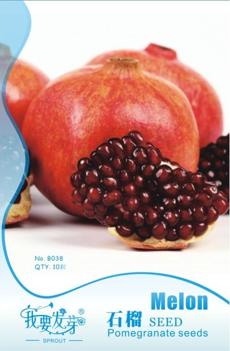 JMS 10 Original Packs, 10 Seeds / Pack, Pomegranate Fruit Tree Red Punica Granatum