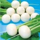 JMS 1 Original Pack, 3G Seeds / Pack, White Cherry Belle Radish Chinese Organic Vegetable Seed
