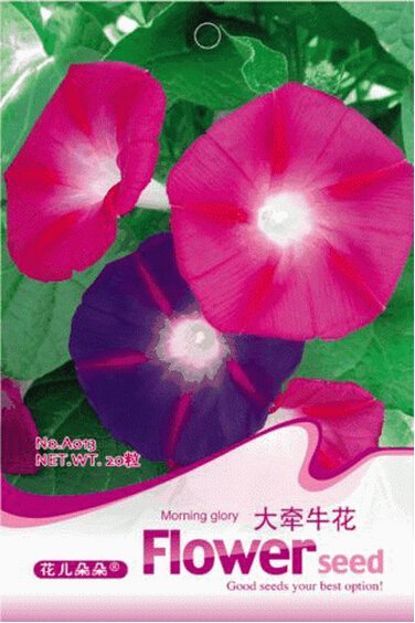 JMS 1 Original Pack, 20 Seeds / Pack, Mix Morning Glory Ipomoea Nil Climbing Vines #A013