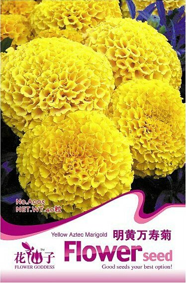 JMS 1 Original Pack, 40 Seeds / Pack, Yellow African Marigold French Marigold Herbs Tagetes Erecta F