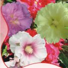 JMS 1 Original Pack, 40 Seeds / Pack, Mix Hollyhock Flowers Perennial Althaea Rosea Alcea Rosea