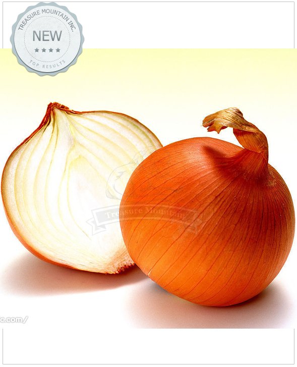 JMS 1 Professional Packaging , 1000 Seeds / Pack, Allium Cepa Yellow Round Onions Vegetables