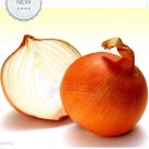 JMS 1 Professional Packaging , 1000 Seeds / Pack, Allium Cepa Yellow Round Onions Vegetables