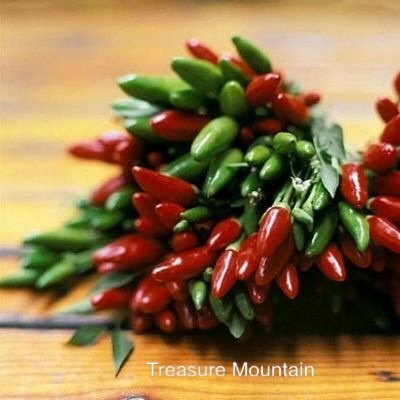 JMS Rare Serrano Chili Pepper Heirloom Seeds, Professional Pack, 100 Seeds / Pack, Bright Small Red 