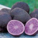 JMS 100Pcs Potato Seeds Purple Color