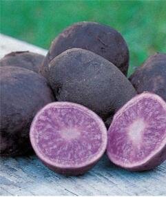 JMS 100Pcs Potato Seeds Purple Color