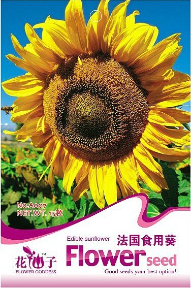 JMS 1 Original Pack, 15 Seeds / Pack, Edible Sunflower Seeds Polly Seeds #A007