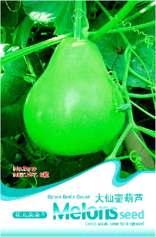 JMS 'Winebibber' Large Spoon Bottle Gourd Edible Organic Vegetable Seeds, Original Pack, 8 Seeds / P