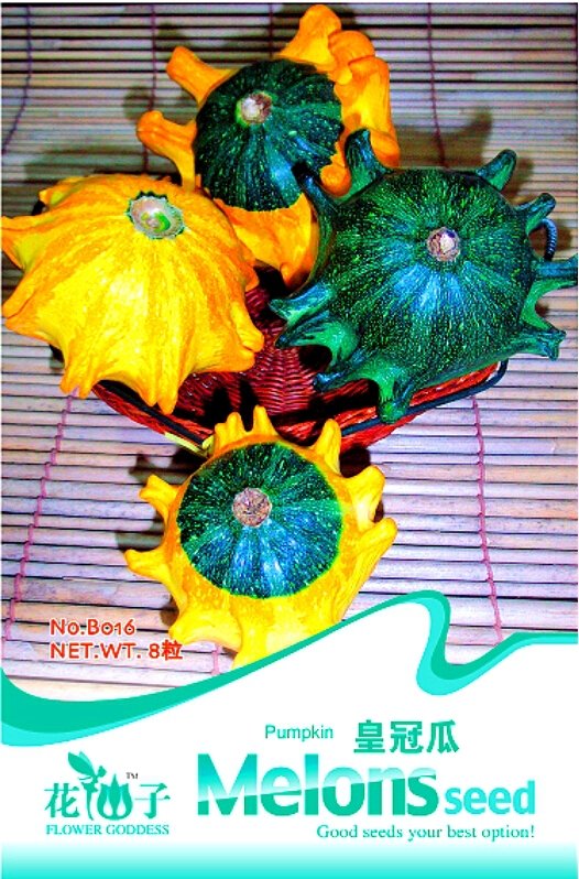 JMS 'Imperial Crown' Pumpkin Ornamental Squash Seeds, Original Pack, 8 Seeds / Pack B016