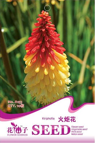 JMS 1 Original Pack, 10 Seeds / Pack, Red Hot Poker Hybrids Kniphofia Uvaria Hybrids #A153
