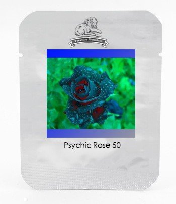 JMS Rarest Several Rose Shrub Seeding Seeds For Garden, Professional Pack, 50 Seeds / Pack, 100% Tru