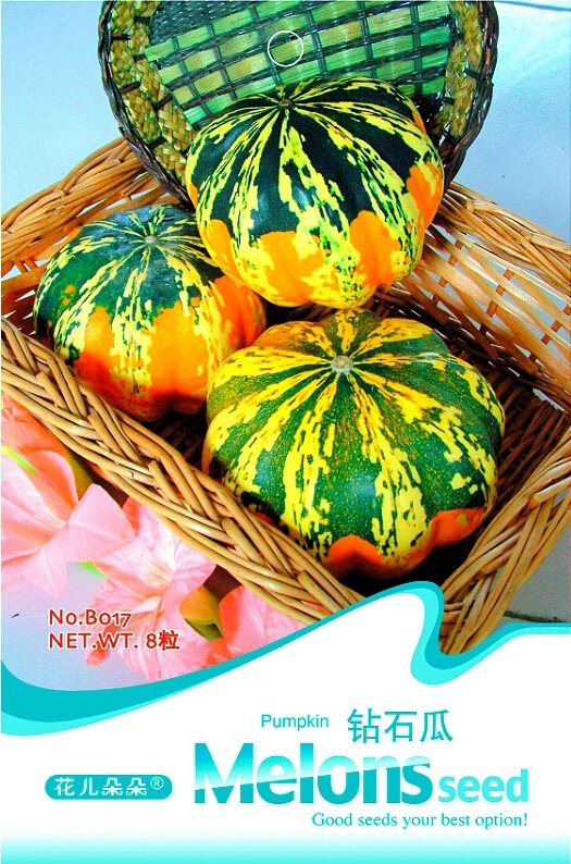 JMS 'Diamon' Pumpkin Ornamental Edible Vegetable Seeds, Original Pack, 8 Seeds / Pack B017