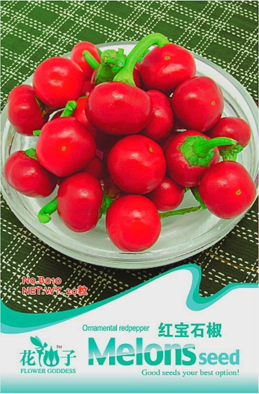 JMS Szechwan Red Round Pickled Hot Chili Vegetable Seeds, Original Pack, 20 Seeds / Pack B010