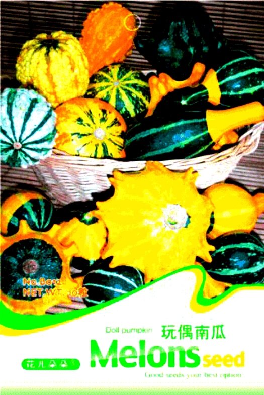 JMS Mixed Doll Pumpkin Ornamental Vegetables Edible Seeds, Original Pack, 10 Seeds / Pack B011