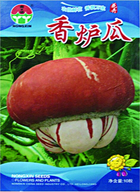 JMS Rare Heirloom Red White Pumpkin 'Censer' Seeds, 1 Original Pack, 10 Seeds / Pack, Ornamental Edi