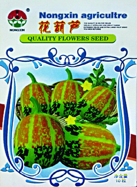 JMS Rare Colorful Pumpkin 'Hua Hu Lu' Ornamental Edible Vegetable Seeds, 1 Original Pack, 10 Seeds /