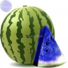 JMS Rare Blue Watermelon Sweet Fruits, 20 Seeds, Juicy Hybrid Fruits Ts219T