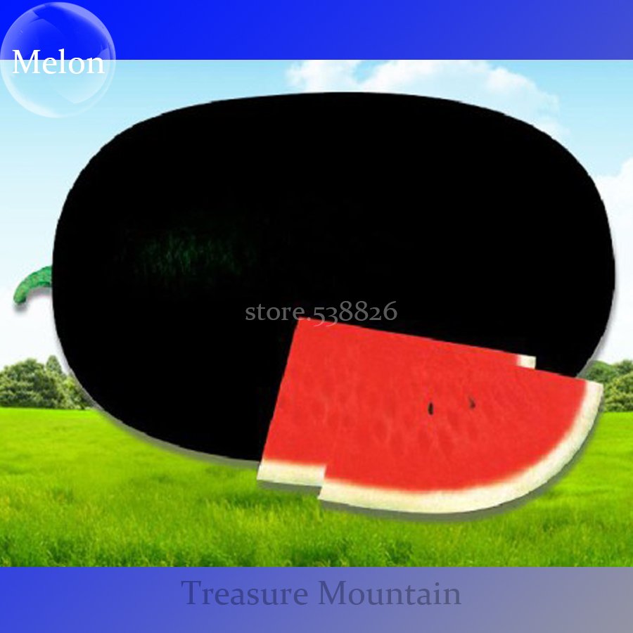 JMS Hot Sale High Yield Of 6000Kg/667M2 Hybrid Black Skin Oval Shape Watermelon Seeds, 10 Seeds, Sim