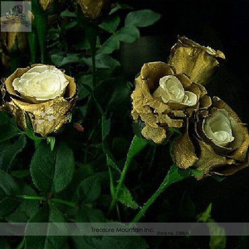 JMS Rare Golden Rose Flower Shrub Seeds, Al Pack, 50 Seeds, Perennial Garden Plantings
