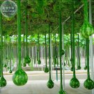 JMS Long Handle Dipper Gourd, 10 Seeds, Professional Pack, Ornamental Interesting Gourd Ts360T