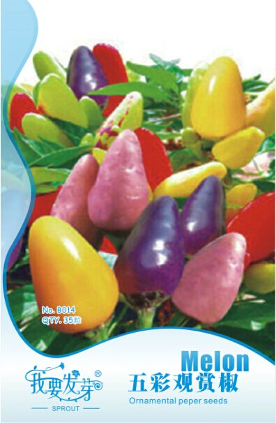 JMS 1 Original Pack, 35 Seeds / Pack, Ornamental Hot Pepper Seeds  Prairie Fire  Edible! Grow Inside