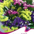 JMS 1 Original Pack, Approx 30 Seeds / Pack, Mix Midnight Statice Limonium Sinuata Seeds Good Cut Fl