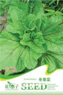 JMS JMS Organic Edible Chinese Mallow Vegetable Seeds, Original Pack, 20 Seeds / Pack, Malva Vertici
